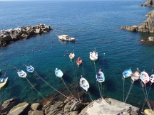 Boats hanging by the cliffs of the Cinque Terre